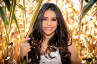 N. Ramos