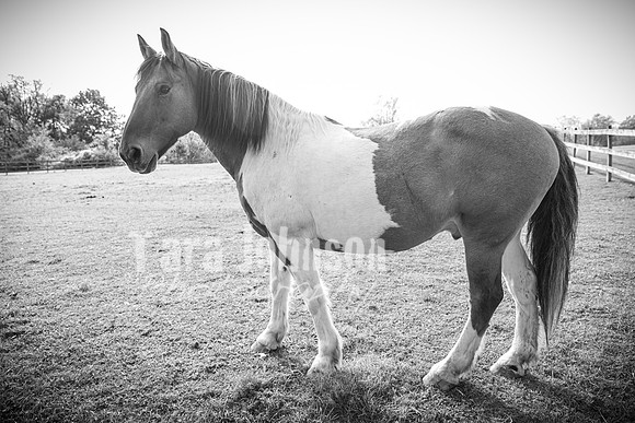 Alyssa Hagan - BW - TJP (93 of 111)