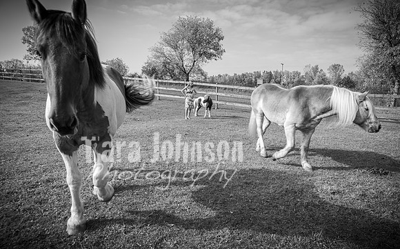 Alyssa Hagan - BW - TJP (111 of 111)