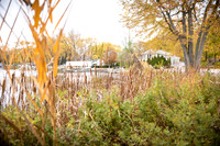 Homestead - 3159 Royal Blvd - Beach - TJP (4 of 8)