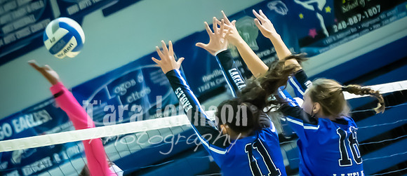 (web) 21 Fall LHS - Athletics (Banners @ 72 ppi) - TJP (50 of 102)
