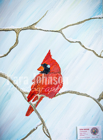 2025 OLSM Art Show - Art Selections - TJP (77 of 237)