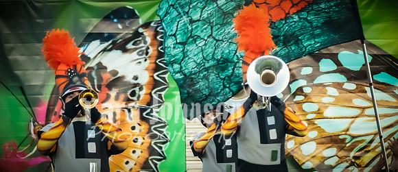 (web) 21 Fall HVMB-HVP-HVA (Banners @ 72 ppi) - TJP (15 of 92)