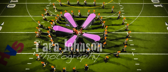 (web) 21 Fall HVMB-HVP-HVA (Banners @ 72 ppi) - TJP (55 of 92)