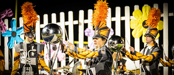 (web) 21 Fall HVMB-HVP-HVA (Banners @ 72 ppi) - TJP (58 of 92)