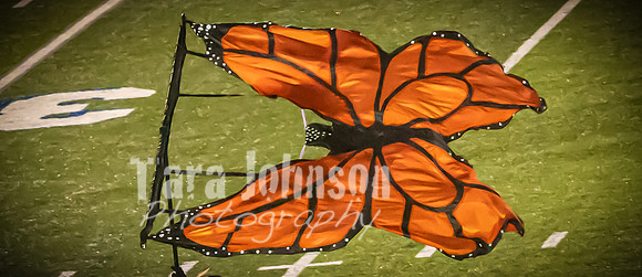 (web) 21 Fall HVMB-HVP-HVA (Banners @ 72 ppi) - TJP (85 of 92)