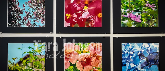 (web) 21 Fall LHS - Arts (Banners @ 72 ppi) - TJP (146 of 213)