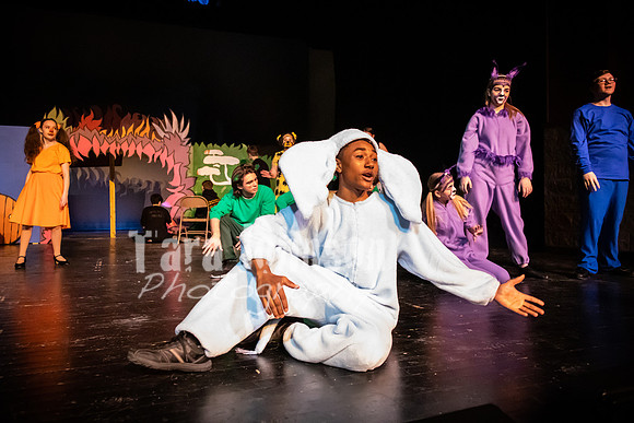2019 LHS Seussical 1 - TJP (15 of 313)