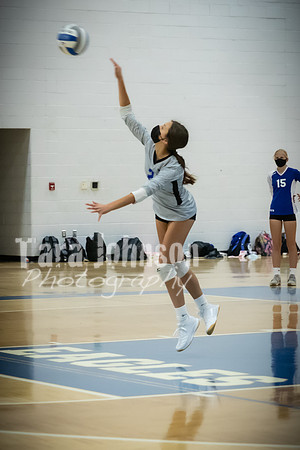 2020 LHS VB Senior Collage - 2 - TJP (8 of 10)