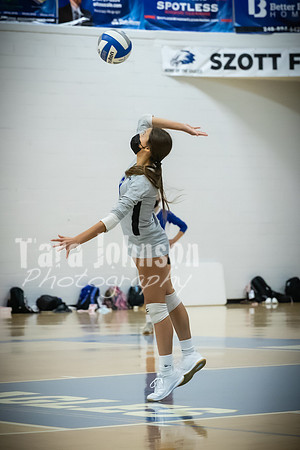 2020 LHS VB Senior Collage - Game Play - TJP (9 of 44)
