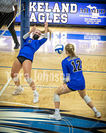 2020 LHS VB Senior Collage - Game Play - TJP (42 of 44)