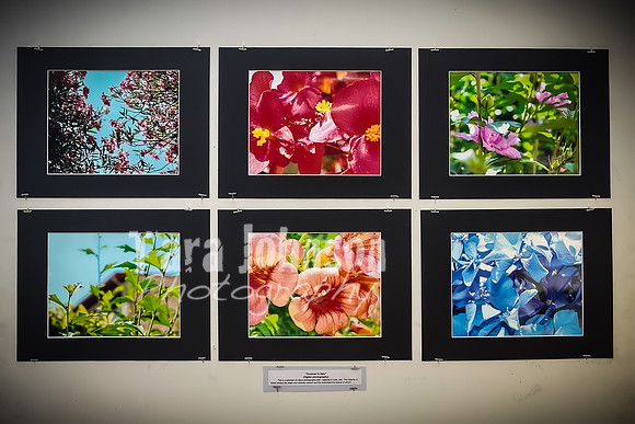 (web) 21 Fall LHS - Arts (4x6 @ 72 ppi) - TJP (141 of 243)