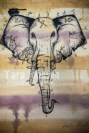 (web) 21 Fall LHS - Arts (4x6 @ 72 ppi) - TJP (158 of 243)