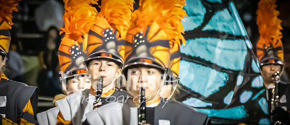 (web) 21 Fall HVMB-HVP-HVA (Banners @ 72 ppi) - TJP (88 of 92)
