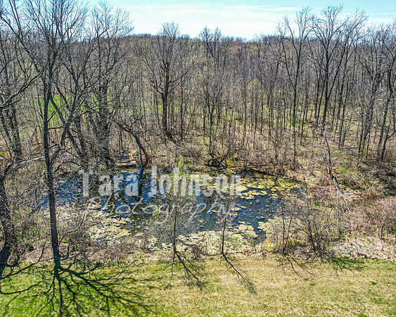Homestead - 3522 N. Territorial (8 MB max) - TJP (17 of 123)