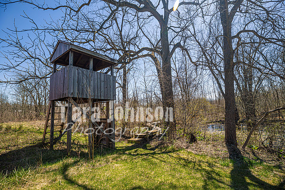 Homestead - 3522 N. Territorial (8 MB max) - TJP (34 of 123)