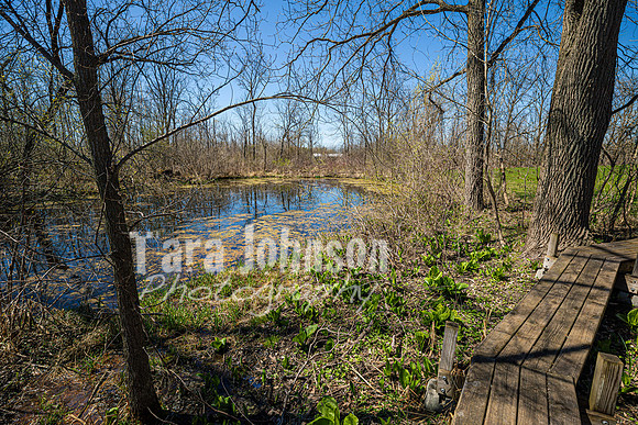Homestead - 3522 N. Territorial (8 MB max) - TJP (36 of 123)