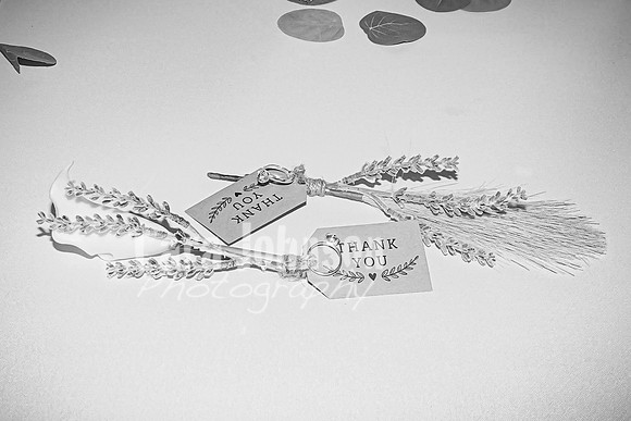 Tim & Corrissa - Complete - BW - TJP (35 of 585)
