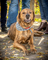 Fulkerson Family - TJP (5 of 26)
