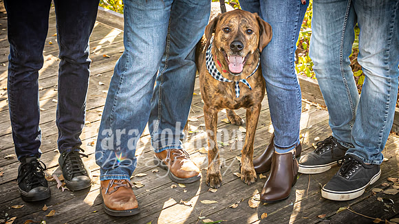 Fulkerson Family - TJP (2 of 26)