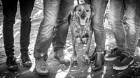 Fulkerson Family - BW - TJP (2 of 26)