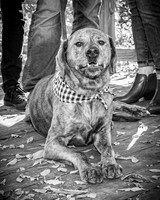 Fulkerson Family - BW - TJP (5 of 26)