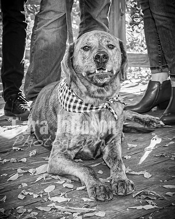 Fulkerson Family - BW - TJP (5 of 26)