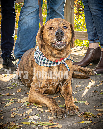 Fulkerson Family - TJP (5 of 26)