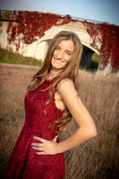 M. Shaver - Complete - Color