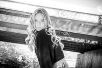 D. Beale - Complete - BW