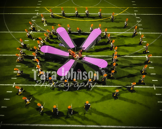 (print) 21 HVMB-HVP-HVA (Full Res, Various Sizesi) - TJP (64 of 107)