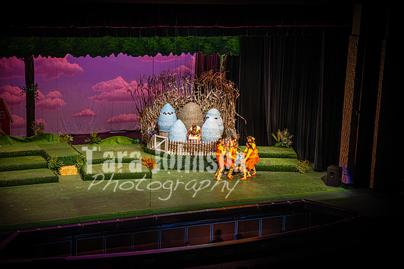 2024 MTC - Honk - Senior Show (Thursday) - TJP (41 of 360)