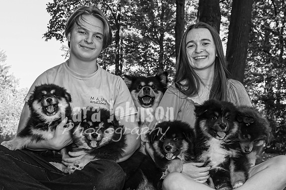 Bryde Family & Finish Lapphund Pups - BW - TJP (36 of 60)