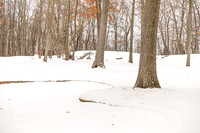 Homestead - 650 Robinson Ct (7 of 75)