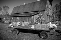 Michael & Ashlee McGrath - Complete - BW - TJP (15 of 428)