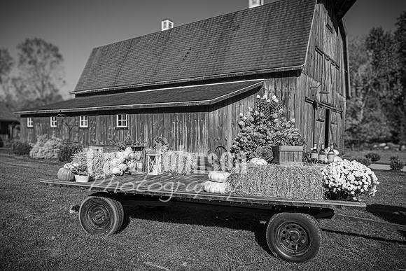 Michael & Ashlee McGrath - Complete - BW - TJP (15 of 428)