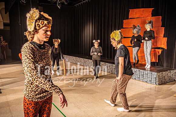 OVMS Theatre - Lion King - Saturday Matinee - TJP (7 of 637)