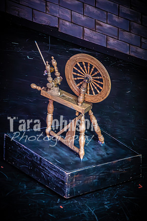 24 LHS - Descendants - Friday PM - TJP (223 of 740)