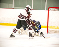 Q. Young Hockey - Color