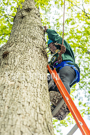 22 IAW Ropes Course - TJP (34 of 135)