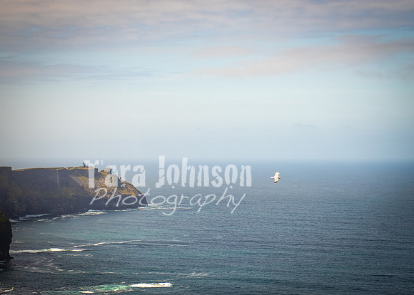 Cliffs of Moher Trip (16 of 96)
