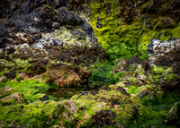 Howth Trip (15 of 55)