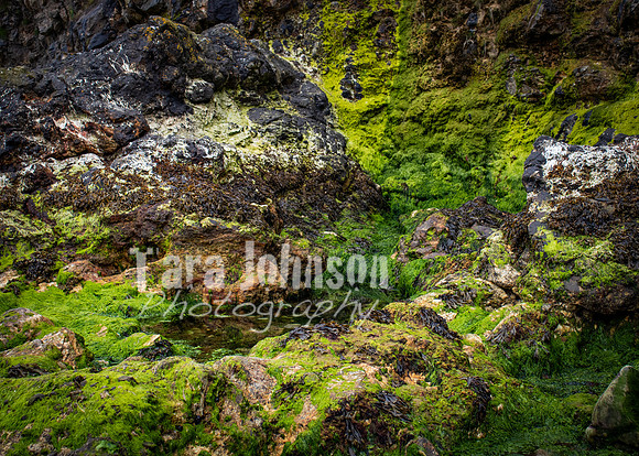 Howth Trip (15 of 55)