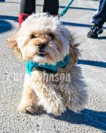 MLK Dog - TJP (7 of 11)