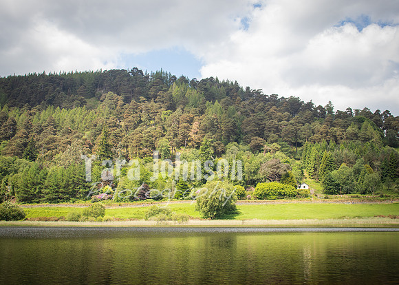 Glendalough Field Trip (58 of 117)