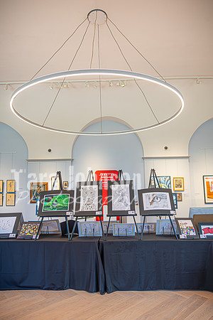 2025 OLSM Art Show - Art Selections - TJP (4 of 237)