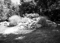 Tim & Corrissa - Complete - BW - TJP (3 of 585)