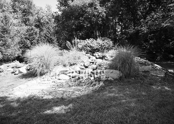 Tim & Corrissa - Complete - BW - TJP (3 of 585)