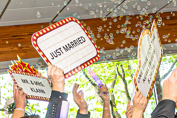J. & D. Klann - Bridal Entrance & Speeches - TJP (29 of 66)