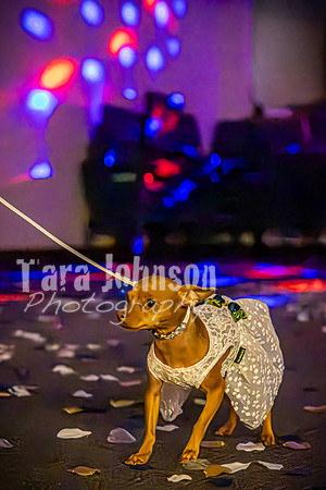 Mitch & Kelly - The Dance - TJP (96 of 99)